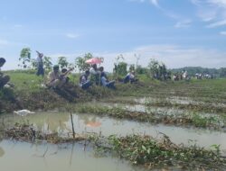 Caleg DPR RI Dapil Jabar X Rokhmat Ardiyan Memperlihatkan Suara Menarik Melalui Mancing Mania di Pangandaran