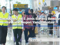 Catat yuk! 5 Barang Bawaan dari Luar Negeri yang Dibatasi