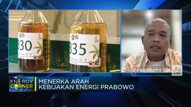 Menebak Arah Kebijakan Energi Hijau Prabowo Subianto