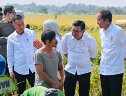 Petani Minta Kenaikan Harga Gabah Rp2.000, Apakah Jokowi Setuju?