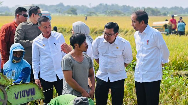 Petani Minta Kenaikan Harga Gabah Rp2.000, Apakah Jokowi Setuju?