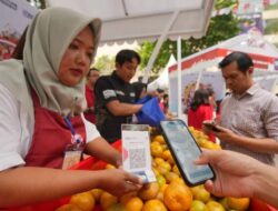 Dengan Pemberdayaan BRI, Usaha Klaster Jeruk Semakin Maju