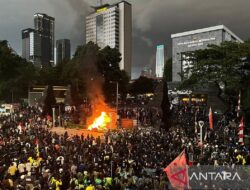 5 Hal Wajib Dipersiapkan Sebelum DemoScrollIndicator