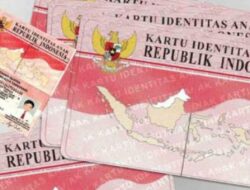 Apa itu KTP Pink: Fungsi dan Prosesnya