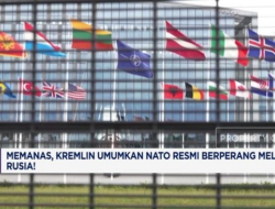 Kremlin Umumkan NATO Perang Lawan Rusia: Apa yang Harus Dilakukan?