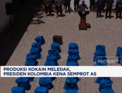 Produksi Kokain Kolombia Meledak: Presiden Terkena Semprot AS